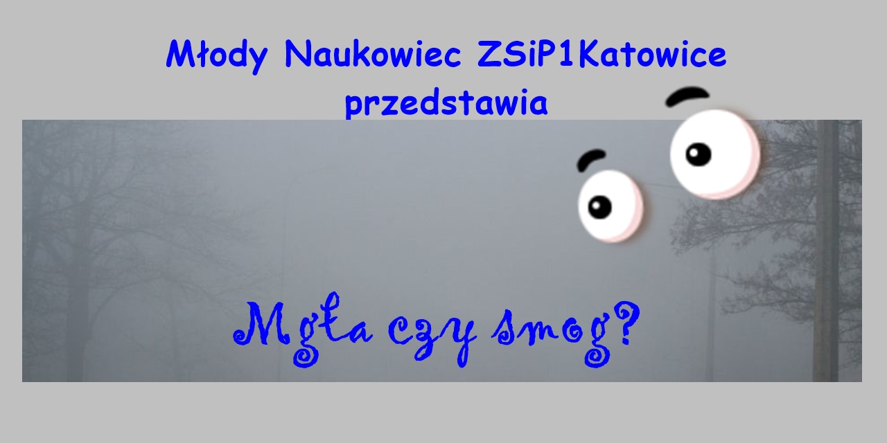  Młodzi Naukowcy ZSiP1Katowice przedstawiają: 