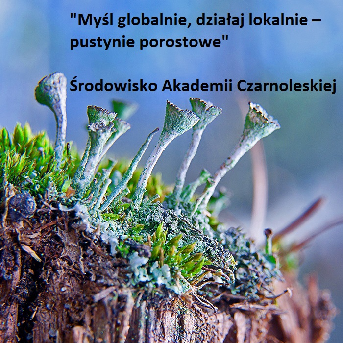 Myśl globalnie, działaj lokalnie – pustynie porostowe