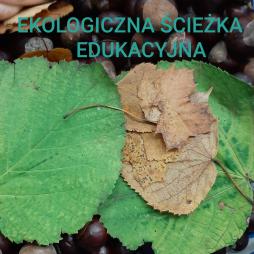 LEŚNA ŚCIEŻKA EDUKACYJNA