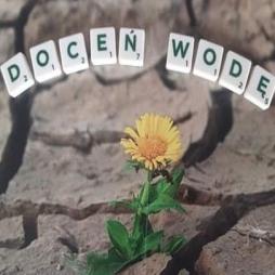 Do(CEŃ) wodę