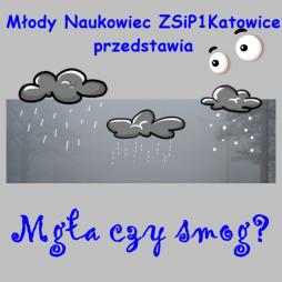  Młodzi Naukowcy ZSiP1Katowice przedstawiają: 