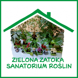 Zielona zatoka i Sanatorium roślin