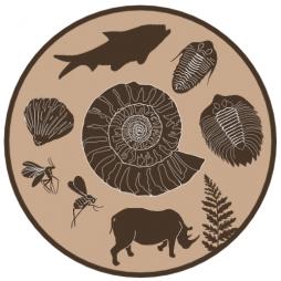 Historia zapisana w skamieniałościach.